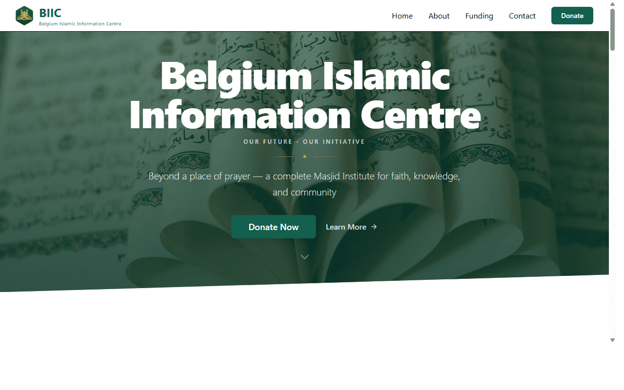 BIIC Digital Infrastructure